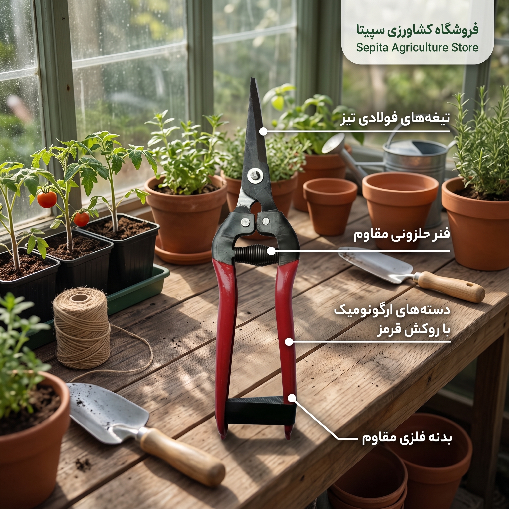 قیچی هرس سر کج